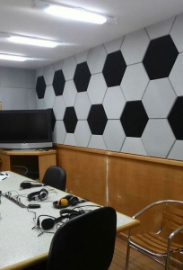 Espuma Acústica Hexagonal - Preta Espuma Acústica Hexagonal - Preta